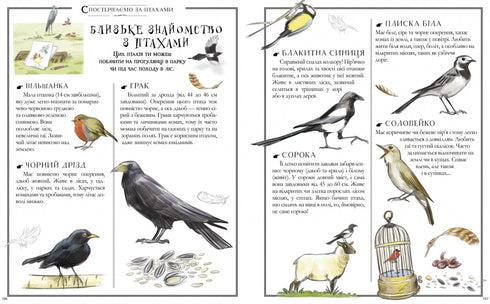 Boys' Book. A textbook for the brave traveler